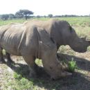 Namibia 02.2012. 147